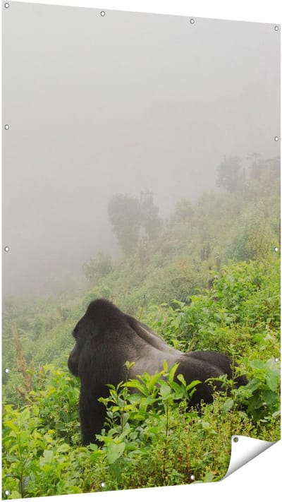 Gards Tuinposter Gorilla in het Woud tijdens de Mist - 120x180 cm - Tuindoek - Tuindecoratie - Wanddecoratie buiten - Tuinschilderij
