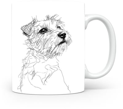 Beker Norfolk Terrier