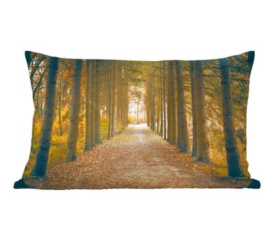 Sierkussens - Kussentjes Woonkamer - 50x30 cm - Pad - Bomen - Bos