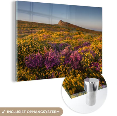 ® Glasschilderij 180x120 cm - Schilderij acrylglas - Wilde bloemen in Nationaal park Dartmoor in Engeland - Foto op glas - Muurdecoratie woonkamer - Wanddecoratie slaapkamer - Schilderijen