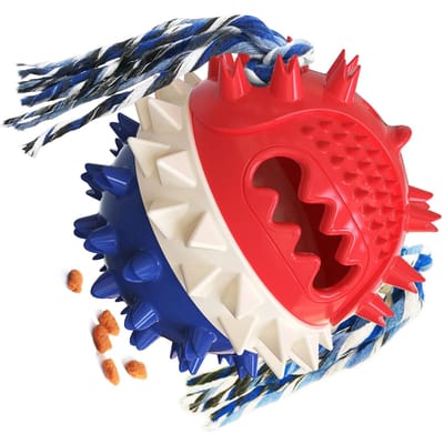Piepend hondenspeeltje met snoepjesdispenser, springgeluid en kauwfunctie, interactief speelgoed voor huisdieren, ideaal voor thuisgebruik.