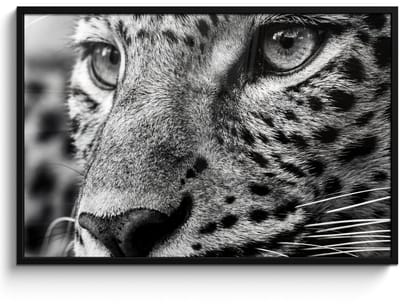 Poster in lijst - Fotolijst 120x80 cm - Posters - Luipaard - Zwart - Wit - Oog - Posterlijst zwart - Decoratie - Wanddecoratie woonkamer - Muurdecoratie slaapkamer