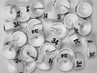Bleijenberg Maatdopje maat 34 wit - Maataanduiding voor kledinghangers per 25 stuks - Maatringetje Ø 20 mm - Kledinghangers - Kleerhanger - Kapstok - Mark-Brics - wisersizer