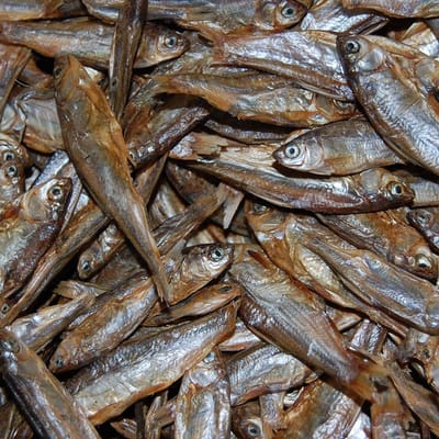 Gedroogde visjes 4 tot 7 cm 10 KG bulkdoos
