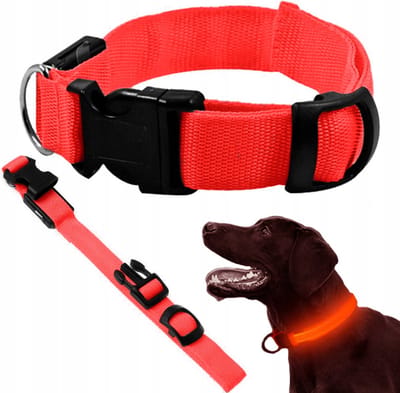 Actie4you® - Led Halsband Hond - 3 Standen - Verstelbaar 36 tot 59 cm – Lichtgevende Halsband - Rood