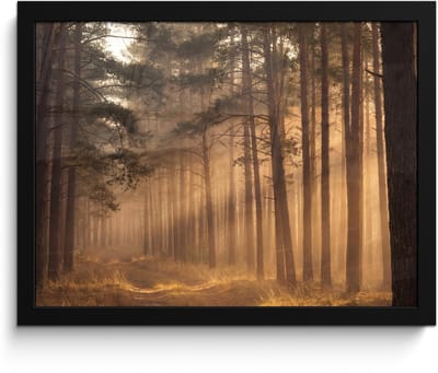 Poster in lijst - Fotolijst 40x30 cm - Posters - Bos - Mist - Zonlicht - Posterlijst zwart - Decoratie - Wanddecoratie woonkamer - Muurdecoratie slaapkamer