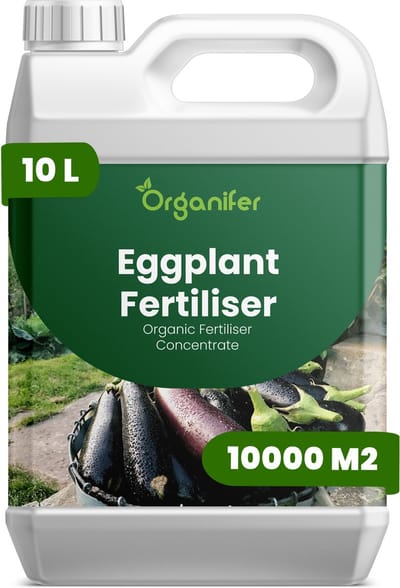 Vloeibare Meststof Voor Aubergine 10 L Voor 10000 M2 - Npk 2-1-8 - Ondersteunt Krachtige Groei - Bevordert Sterke Wortelontwikkeling Voor Stabiele - Opbrengstrijke Planten - Stimuleert Een Gelijkmatige Productie - Organifer