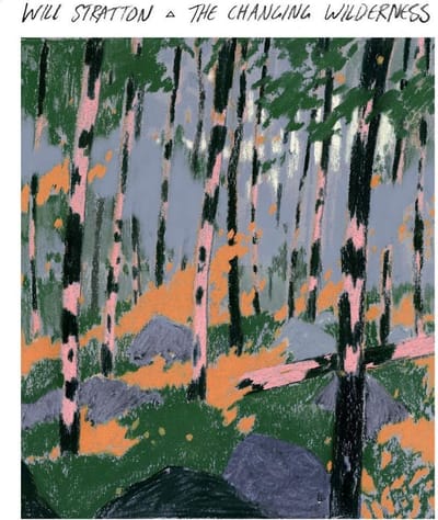 Will Stratton - The Changing Wilderness (CD)