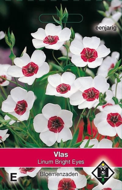 2 stuks Van Hemert & Co Linum grandiflorum Bright Eyes