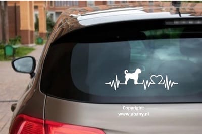 Labradoodle rashondensticker 3x - hondenlijn – hondenriem - Doglove - Abany quality design
