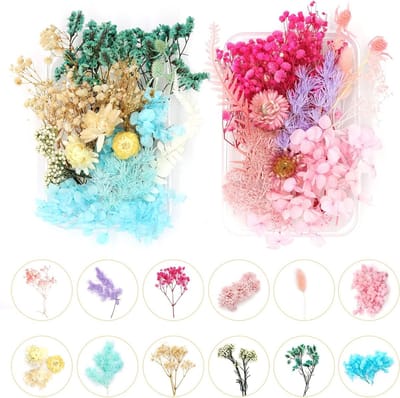 Dailygoods - CONNECTION 2 doosjes epoxyhars gedroogde natuurlijke geperste bloemen en gemengde bladeren gedroogde bloem meerkleurig mini droogbloemen voor doe-het-zelf handwerk kaarsen scrapbook decoratie