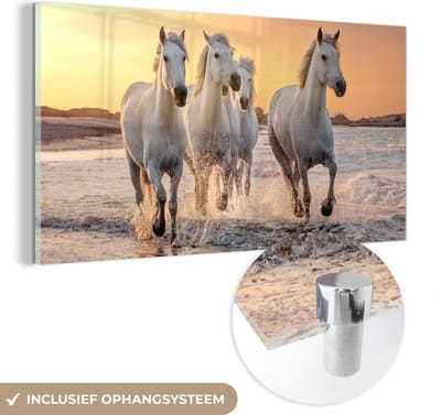 MuchoWow® Glasschilderij 120x60 cm - Schilderij acrylglas - Paarden - Zon - Zee - Strand - Dieren - Foto op glas - Schilderijen