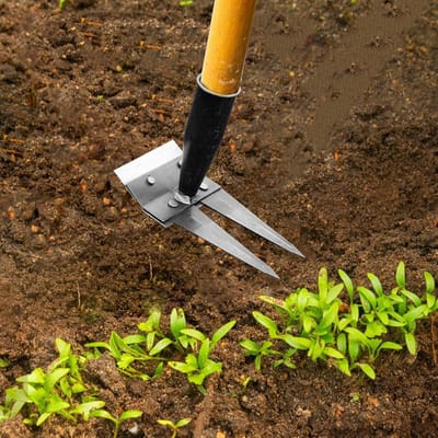 Onkruidgereedschap - Tuinhark metaal - Onkruid verwijderen - Robuust mangaanstaal - 2 tanden - Metaal