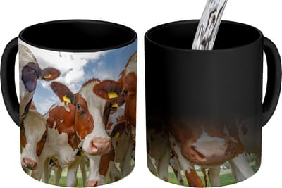 Magische Mok - Foto op Warmte Mokken - Koffiemok - Koeien - Dieren - Weiland - Natuur - Magic Mok - Beker - 350 ML - Theemok