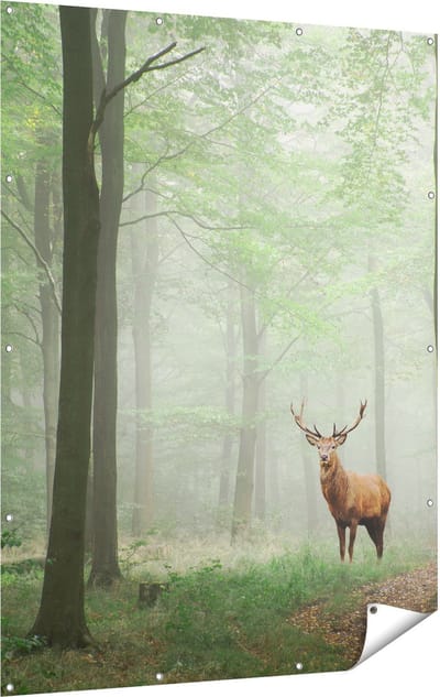 Gards Tuinposter Hert in Bos - 120x160 cm - Tuindoek - Tuindecoratie - Wanddecoratie buiten - Tuinschilderij