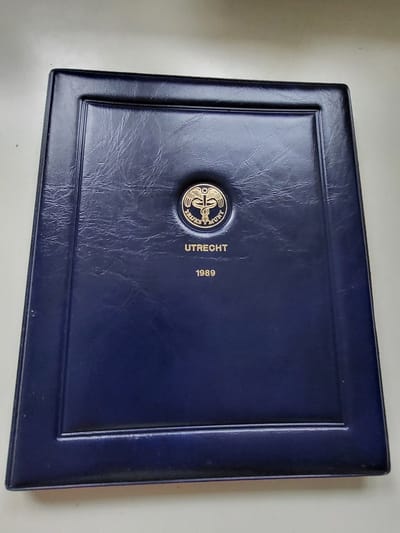 Muntset Nederland 1989 kwaliteit proof incl penning Flevoland