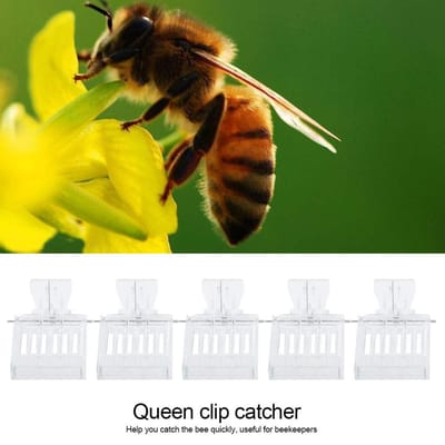 Lot de 5 pinces en plastique pour attraper les reines, cage pour attraper les abeilles, outil d'apiculture yellow