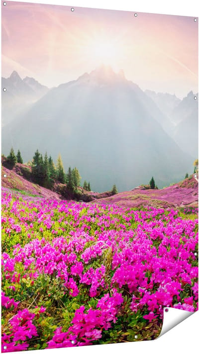 Gards Tuinposter Rhododendron Bloemenveld in de Alpen - 120x180 cm - Tuindoek - Tuindecoratie - Wanddecoratie buiten - Tuinschilderij