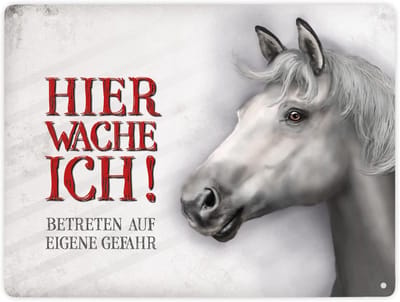 Metalen Waarschuwingsbord - Decoratief Plaatje - Huis Beveiligen - Uniek Paardenmotief - 28x38 cm - Wit