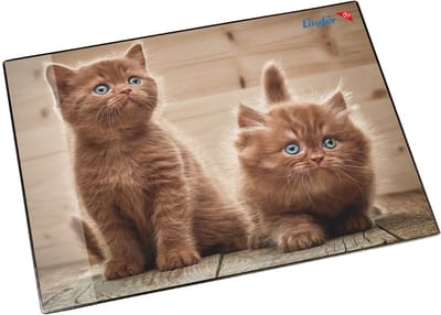Läufer schrijfonderlegger Nieuwsgierige Katjes, 400 x 530 mm