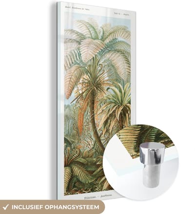 MuchoWow® Glasschilderij 20x40 cm - Schilderij acrylglas - Vintage - Oude meesters - Varens - Planten - Natuur - Foto op glas - Schilderijen
