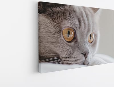 Saammp Canvas Schilderij - Poes close-up - Natuur - Dieren - 45x30 - Foto op canvas - Wanddecoratie - Muurdecoratie Woonkamer - Slaapkamer decoratie - Canvas Print
