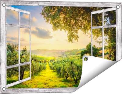 Gards Tuinposter Doorkijk Olijvenbomen - Olijvengaard - 60x40 cm - Tuindoek - Tuindecoratie - Wanddecoratie buiten - Tuinschilderij
