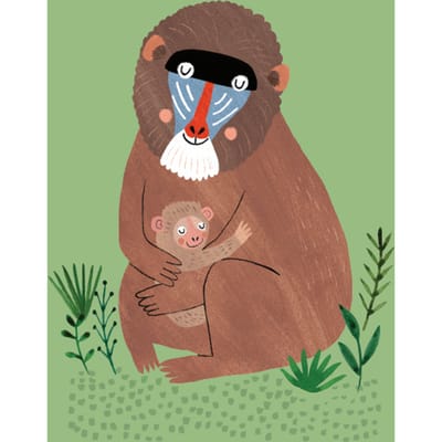 Petit Monkey ansichtkaart Mandril and cub