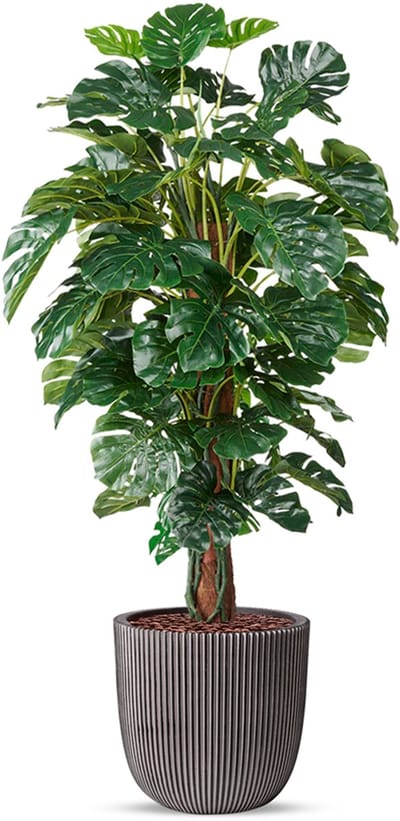 Kunstplant Monstera in planter ball Groove antraciet H170 cm