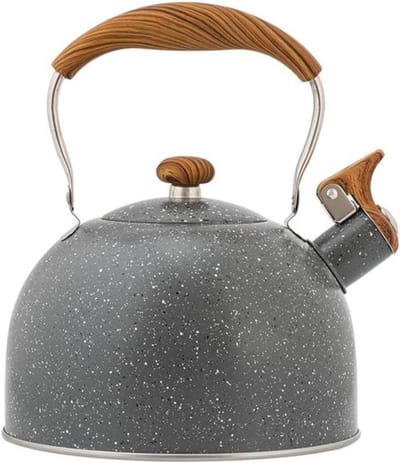 Waterkoker Roestvrij Staal - Fluitketel Theepot - Water Koken - Hittebestendig Handvat - 2.5 Liter - Mat