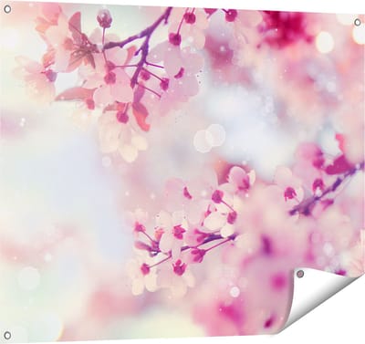 Gards Tuinposter Roze Bloesemboom met Zonneschijn - 100x80 cm - Tuindoek - Tuindecoratie - Wanddecoratie buiten - Tuinschilderij