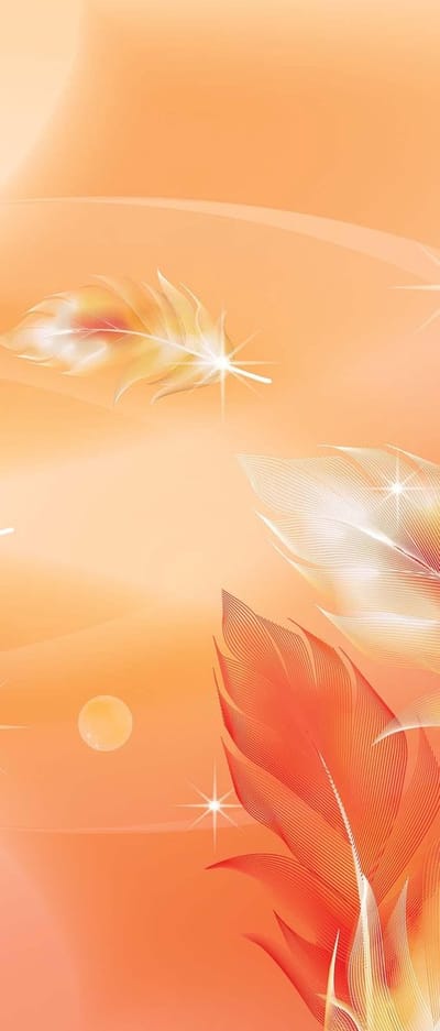 Fotobehang Orange Pink Abstract Feathers | DEUR - 211cm x 90cm | 130g/m2 Vlies