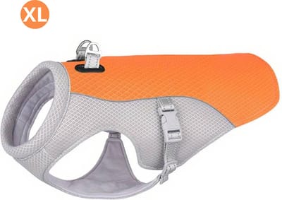 Livano Koelvest Hond - Koelvesten - Verkoeling - Honden Kleding - Hondenkleding - Duurzaam - Oranje - Maat XL