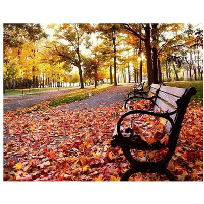 Diamond Painting Herfstlandschap Mozaïek Kits Volledige Ronde Diamant Borduurwerk Muursticker Schilderij 20X30CM black