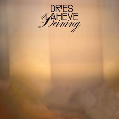 Dries Laheye - Deining (LP)