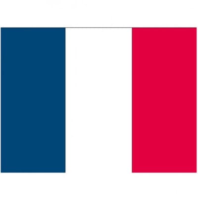 Vlag van Frankrijk stickers - 7 x 10 cm - La France - Franse vlaggetjes - versiering - feestartikelen