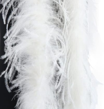 Fluffy Pluimen Sjaal van 2 meter, Perfect voor Charleston 1920s, Flapper Feest en Carnaval, Wit Accessoire