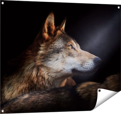 Gards Tuinposter Wolvenkop met een Zonnestraal - Wolf - 100x80 cm - Tuindoek - Tuindecoratie - Wanddecoratie buiten - Tuinschilderij