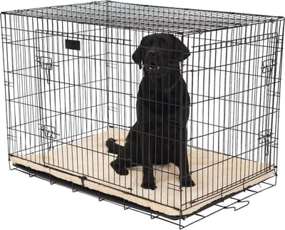 Hondenbench - Krat Hond - Veilige Rustplek - Opvouwbaar & 2 Deuren - 91 x 58 x 65 CM - Zwart