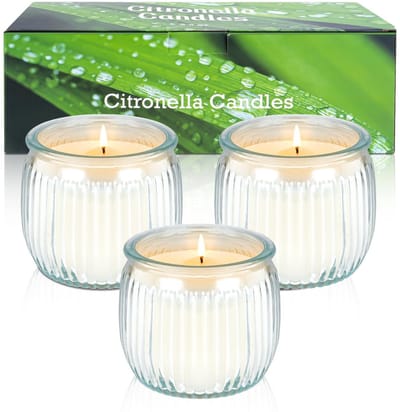 Dailygoods- Citronella Kaarsen Set van 3 - Buitenkaarsen in Glazen Potten - Natuurlijke Sojawas - Brandduur 135 Uur - Veilig voor Gezinnen - Geurkaars