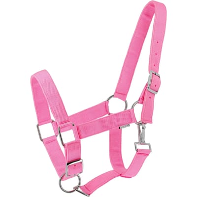 Halster voor paarden Norton Extra