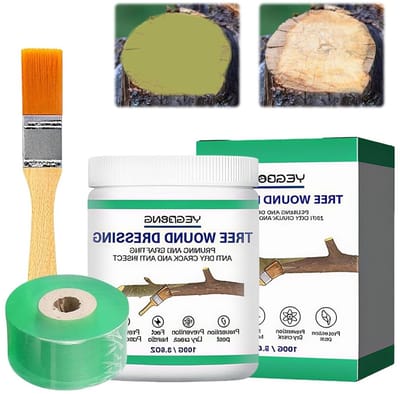 Decoratieve en Snoei Mastic met Borstel en Hechtband, Herstelpasta voor Bonsai en Planten, Beschermende Film voor Wonden, Bomen en Heesters, 100 g