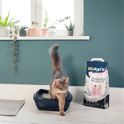 Biokat's Diamond Care - Classic - 2 x 8 Liter