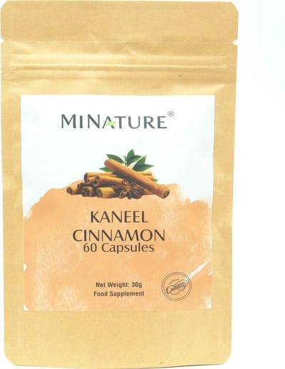 Kaneel Capsules 60 stuks - 450mg Kaneelpoeder per Vegan Capsule - Cinnamon - 100% Plantaardig
