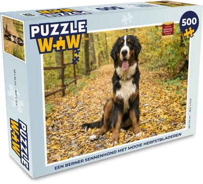 Puzzel Een Berner Sennenhond met mooie herfstbladeren - Legpuzzel - Puzzel 500 stukjes
