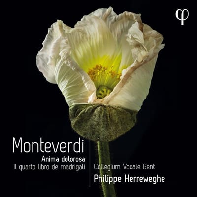 Collegium Vocale Gent, Philippe Herreweghe - Monteverdi: Anima Dolorosa - Il Quarto Libro De Madrigali (CD)
