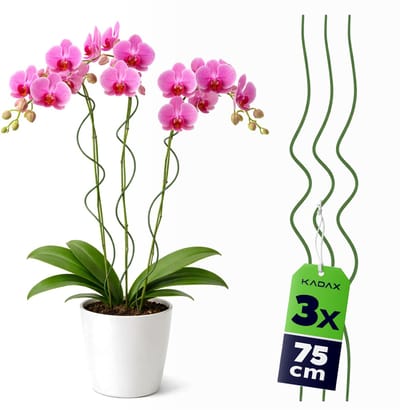 KADAX spiraalvormige plantensteunen 75 cm x 3 mm, set van 3, plantensteunen gemaakt van met kunststof gecoat metaal, spiraalvormige klimhulp voor bloemen, vaste planten en hoge planten.