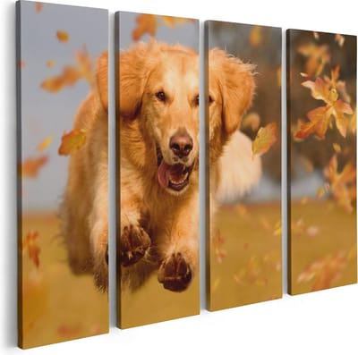 Artaza Canvas Schilderij Vierluik Golden Retriever Hond In De Herfst Bladeren - 80x60 - Foto Op Canvas - Canvas Print
