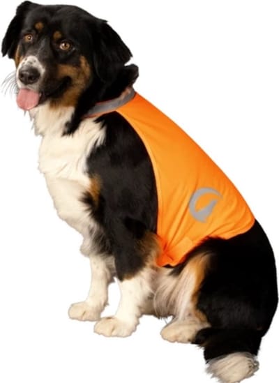 Ilso veiligheidshesje hond - maat M - hondenjas - reflecterend - veiligheidsvest - vest - oranje