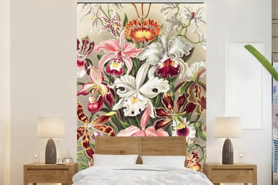 Behang - Fotobehang Bloemen - Ernst Haeckel - Vintage - Orchidee - Breedte 160 cm x hoogte 240 cm